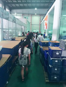 厦门软件学院经济管理系 融合创新，培育厦门软件开发新人才